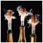 Wine Tours